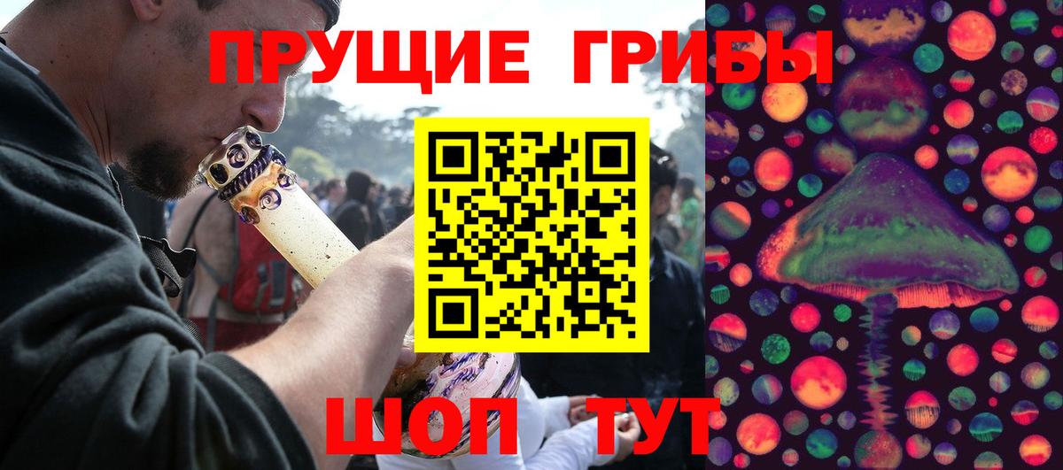 Псилоцибиновые грибы GOLDEN TEACHER Рассказово